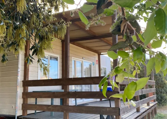 Camping Internazionale Di Castelfusano