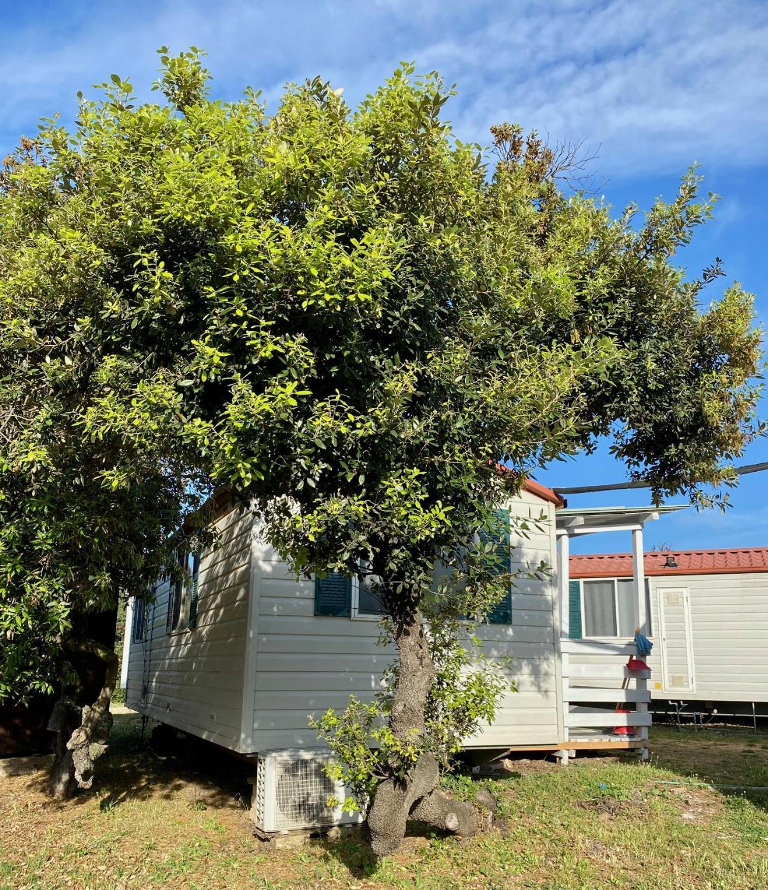 Internazionale Di Castelfusano Campsite Lido di Ostia